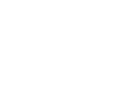 ALSARAJ logo